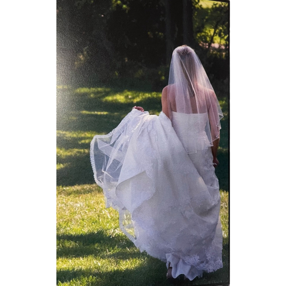 Pronovias Dafnis custom elaborately beaded strapless Wedding Dress/veil Sz 10/6 - Picture 3 of 16